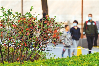 【中首 陜西 圖】春天一起去賞花吧！ 西安上榜全國十大最喜愛踏青賞花遊城市_fororder_res07_attpic_brief