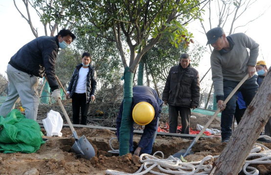 為綠色充“植”、給全運添綠，經開在行動