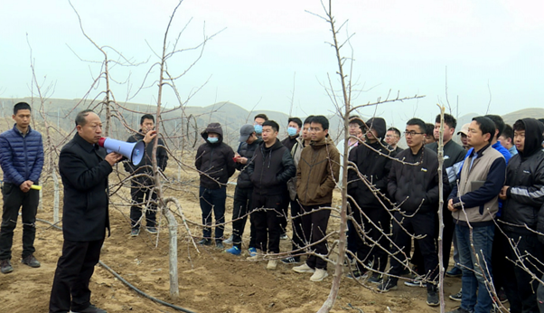 （審核）陜西米脂縣召開春季果園防凍現場會_fororder_微信截圖_20210320113228