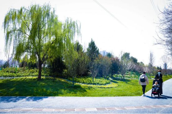 西安航天基地：為古城“南陽臺”穿上花衣裳