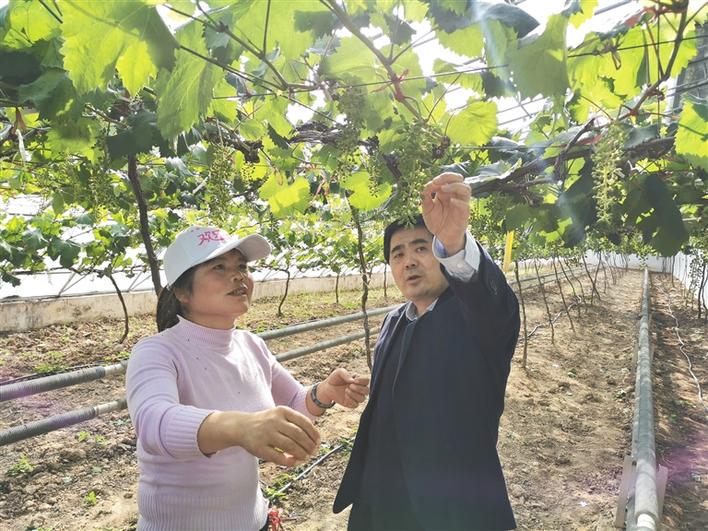 脫貧路上的縣委書記 啃下最後硬骨頭 小康路上闊步行 ——訪臨渭區委書記劉寶琳