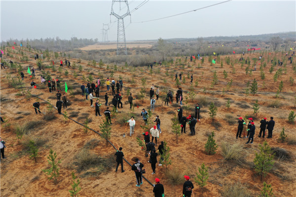 陜西定邊縣400余名機關幹部職工參加義務植樹_fororder_圖片103