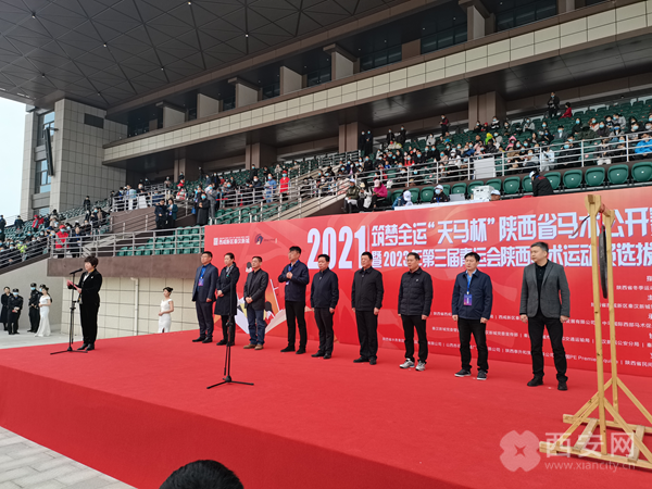 （轉載）2021年築夢全運“天馬杯”|英姿颯爽的馬術騎手馳騁賽場