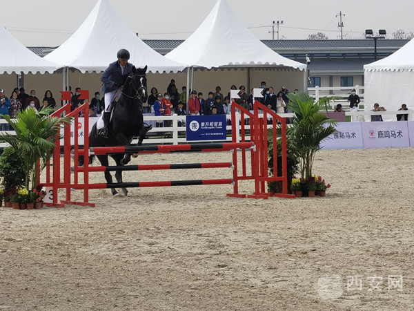 （轉載）2021年築夢全運“天馬杯”|英姿颯爽的馬術騎手馳騁賽場