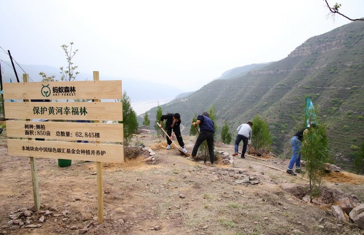 保護黃河生態：全國網友“手機種樹”超6萬棵落地陜西延安_fororder_51