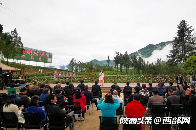 第二屆陜西網上茶博會開幕 首推鎮巴高山有機富硒茶