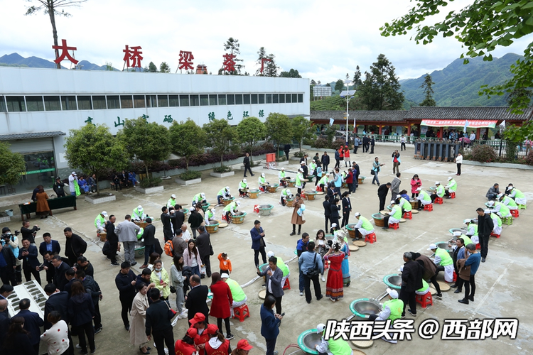 第二屆陜西網上茶博會開幕 首推鎮巴高山有機富硒茶