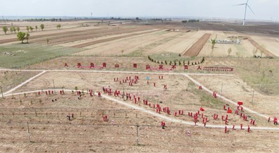 長慶油田採油六廠開展企地黨建聯盟“共植一片林”義務植樹活動_fororder_32