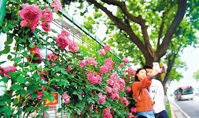 （轉載）央視播出中國美好生活大調查頒獎典禮  西安市入選全國十大“嚮往之城”引關注