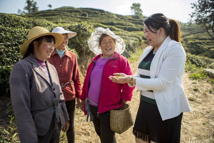 秦奮有新貌丨農業強、農村美、農民富 勉縣描繪脫貧新畫卷