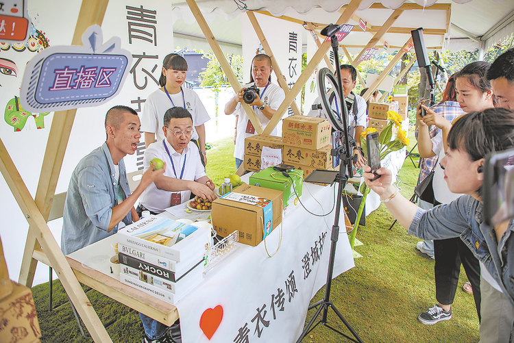 （轉載）沿著高速看渭南丨産業強 農民富 鄉村興