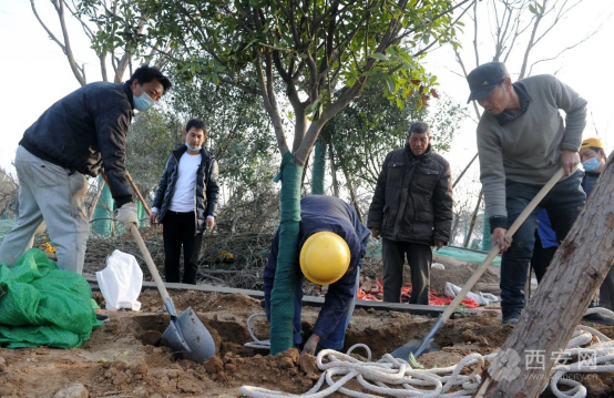 （轉載）西安經開區：為綠色充“植” 給全運添綠