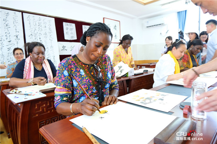 岡比亞駐華大使夫人Jammeh Nyima Gambjan：希望有機會可以帶我們的年輕人來西安交流學習_fororder_圖片402