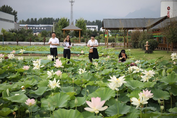 （轉載）西安高新區“首屆荷花節”開幕 “農業+旅遊”促進産業融合發展