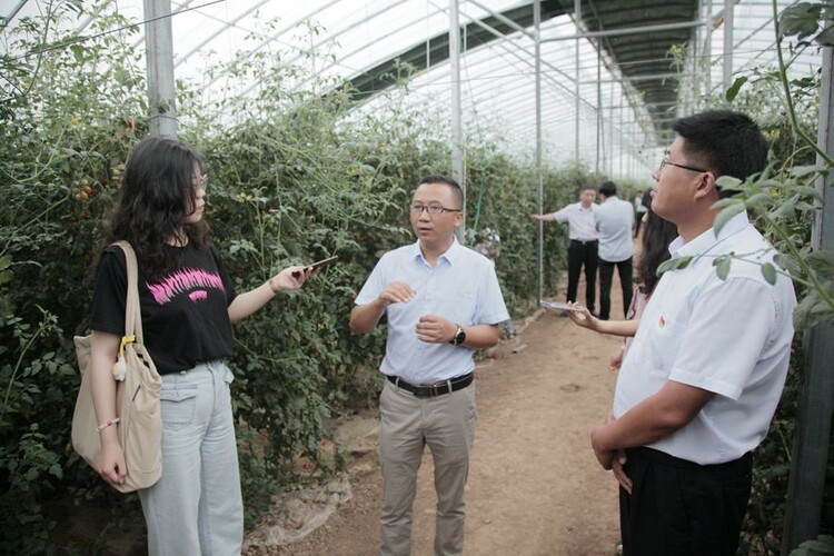 岐山縣委書記蘇少敏：在高品質發展中為陜西追趕超越貢獻岐山力量_fororder_2