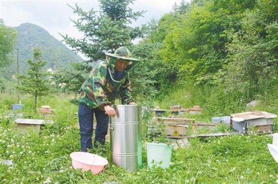 （轉載）寶雞蜂蜜：流傳五千年的甜蜜芬芳