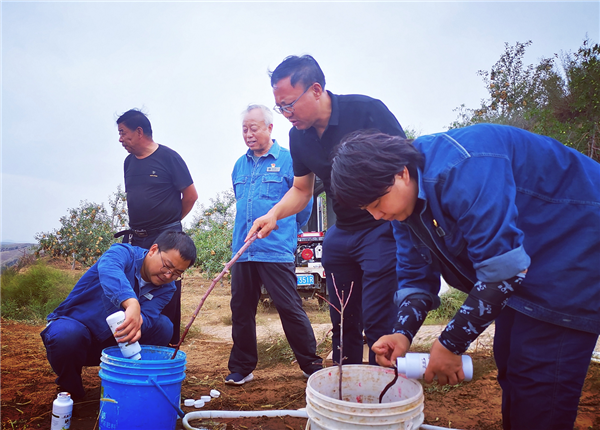 國網榆林供電公司：打造富硒生態村 服務鄉村振興_fororder_圖片2