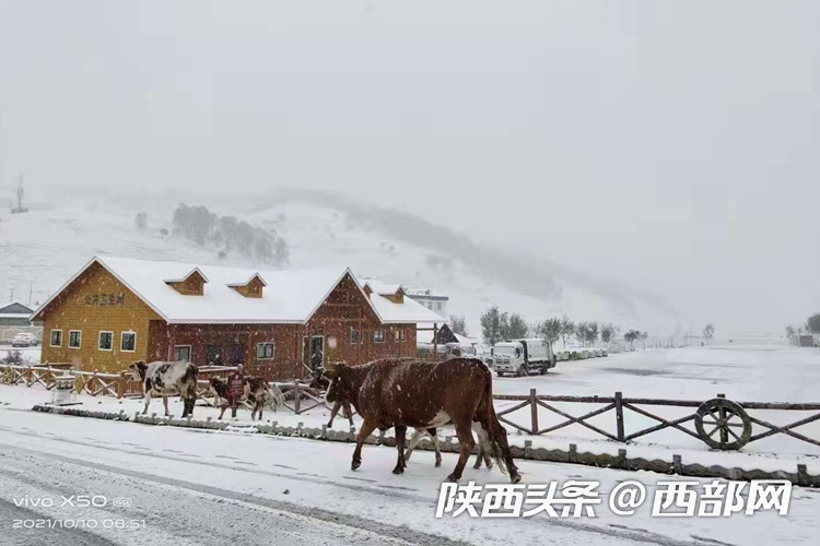 【中首 陜西】寶雞第一場雪來襲！交警提醒：低速勻速行駛