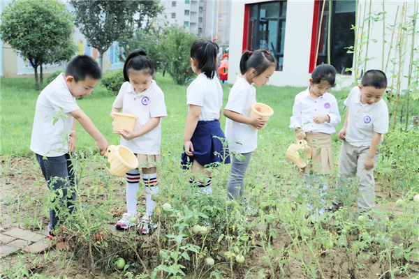 【落實“雙減”看高新】西安高新一幼“名校+”助力打造學前教育的良好生態_fororder_mtxx01