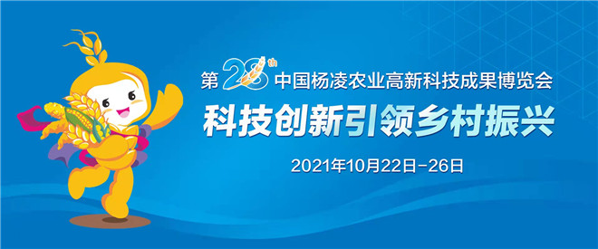 “國際范”十足 楊淩這場盛會將吸睛全球_fororder_微信圖片_20211021144327