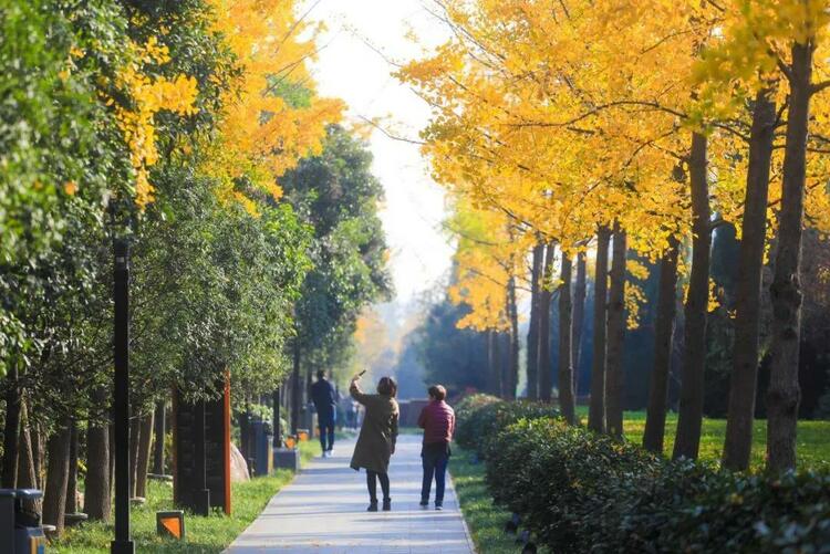 （轉載）西安高新區：“公園之城”觸手可及！