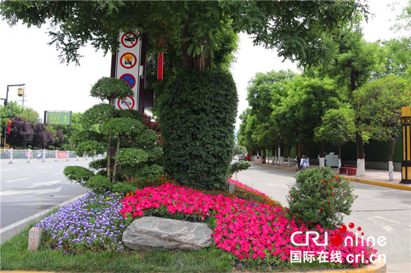 下足“繡花功夫”   西安市臨潼區“繡”出宜居美景