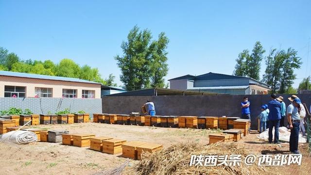 神木貧困戶用勤勞雙手“釀造”甜蜜生活 成當地脫貧樣本