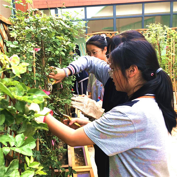 西安市航天城第一中學：繽紛社團活動助力“雙減”落地_fororder_圖片56