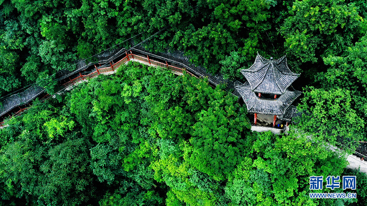 航拍：秦嶺“綠都”寧陜 天高雲逸山青水碧