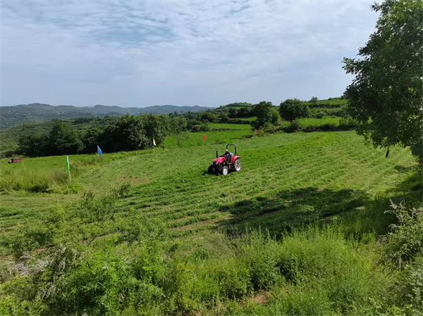 寶雞：發展壯大優質飼草産業 提升飼草供給能力_fororder_33