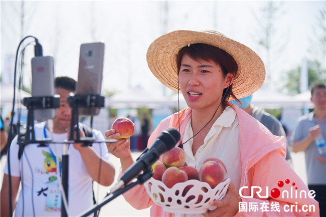 （有修改）【A  史佳已審】以媒助農 陜西大荔舉行“果鄉之旅 ‘棗’想約你”農産品媒體促銷活動