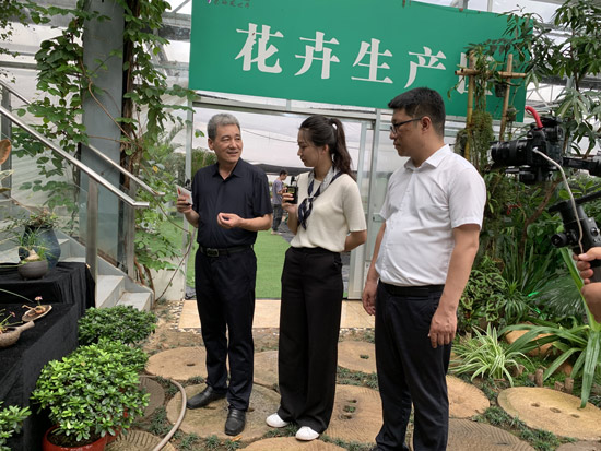 秦嶺花世界直播：一日看盡長安花，局長帶你來秒殺