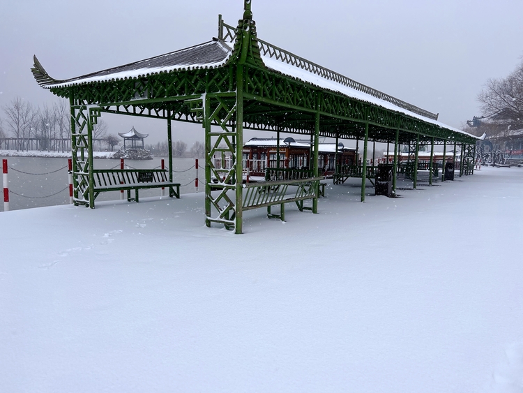 【雲遊渭南】2022年，雪遇黃河岸邊的北國江南——洽川！_fororder_WechatIMG117