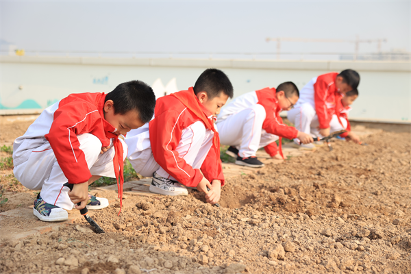 西安高新第三十一小學：擁抱燦爛春色 呵護綠色家園_fororder_圖片16