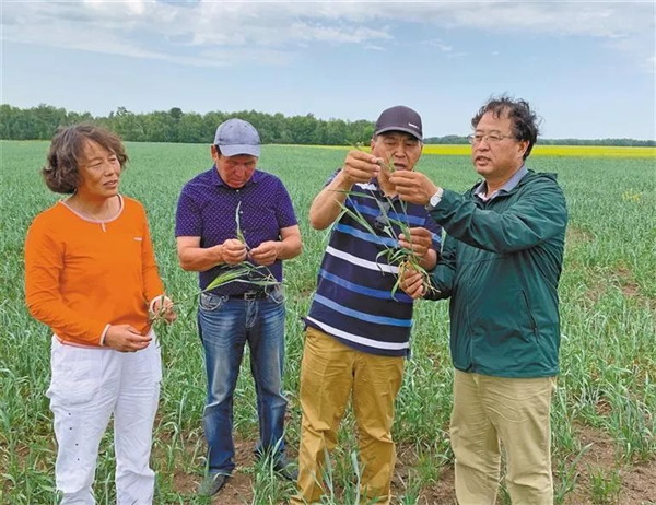 楊淩示範區：在乾旱半乾旱土地上種出中高産糧食_fororder_圖片2