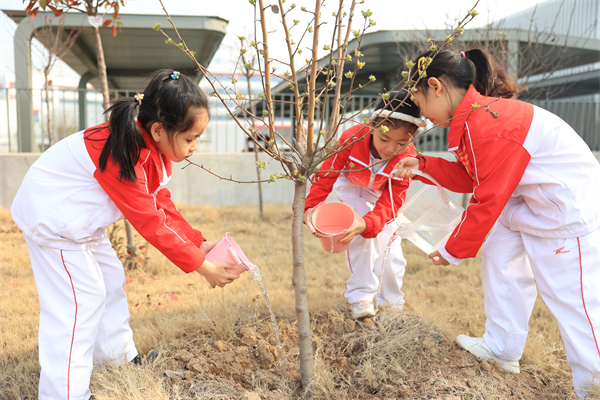 西安高新第三十一小學：擁抱燦爛春色 呵護綠色家園_fororder_圖片15