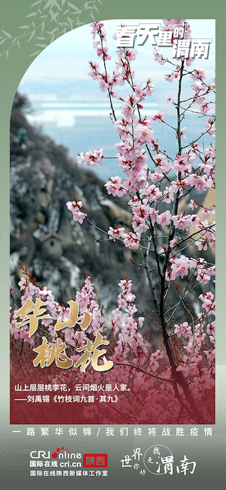 繁華似錦好時節  風花雪月看渭南_fororder_IMG_9251.JPG