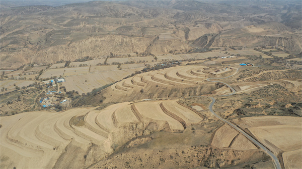 靖邊中山澗鎮：2000余畝坡耕地變梯田_fororder_4