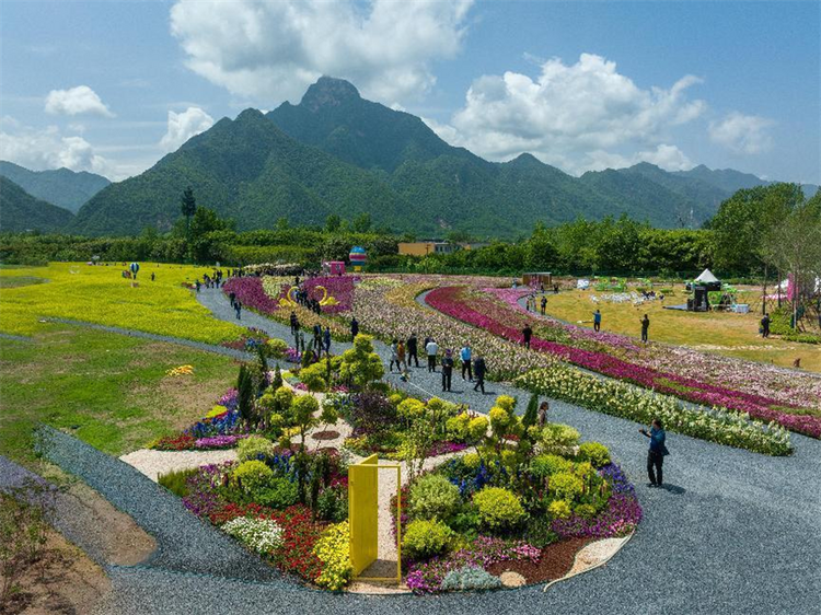 打造鄉村振興“高新樣板” 西安高新區“秦嶺八村”開園_fororder_圖片7