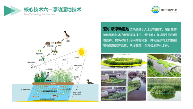 西安高新區企業：用科技助力環保 做守護綠水青山的探索者_fororder_圖片12