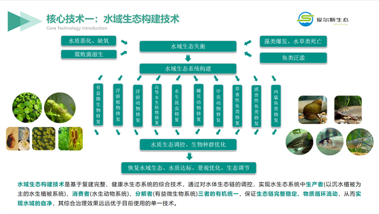 西安高新區企業：用科技助力環保 做守護綠水青山的探索者_fororder_圖片7