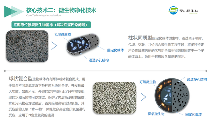 西安高新區企業：用科技助力環保 做守護綠水青山的探索者_fororder_圖片8