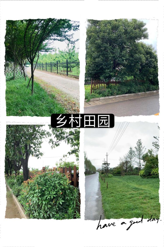 灞橋區狄寨街道：“兩色三園”成為美麗鄉村一道新的靚麗風景