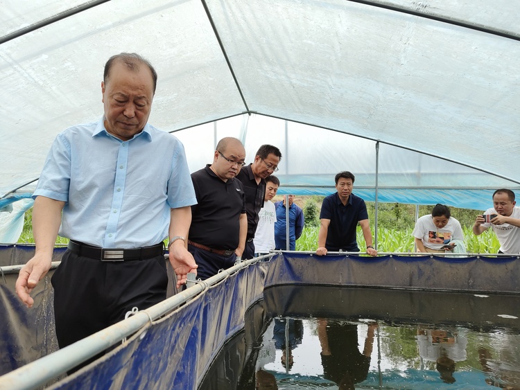 省水産研究與工作總站副站長王華一行來榆林市橫山區調研農旅融合發展基礎_fororder_二道峁魚種廠泥鰍培育基地