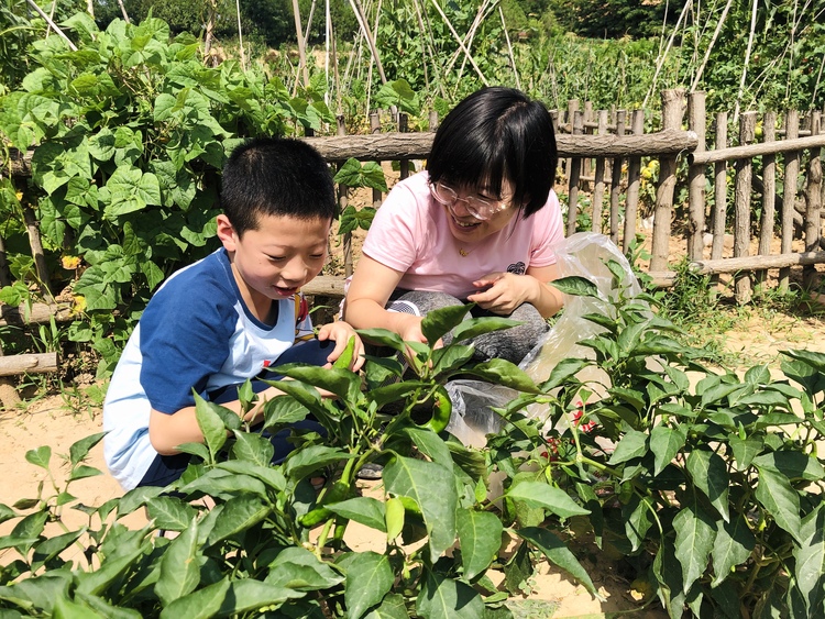 （上一篇失效，重新上傳，已改）“留得下幹得好願意來”  延安市寶塔區河莊坪鎮闊步走在鄉村振興的大道上