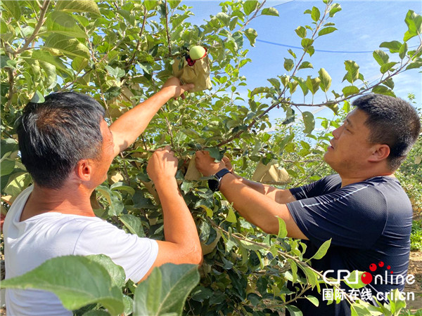 （有修改）延安市寶塔區：追趕超越中有“新”也有“心”