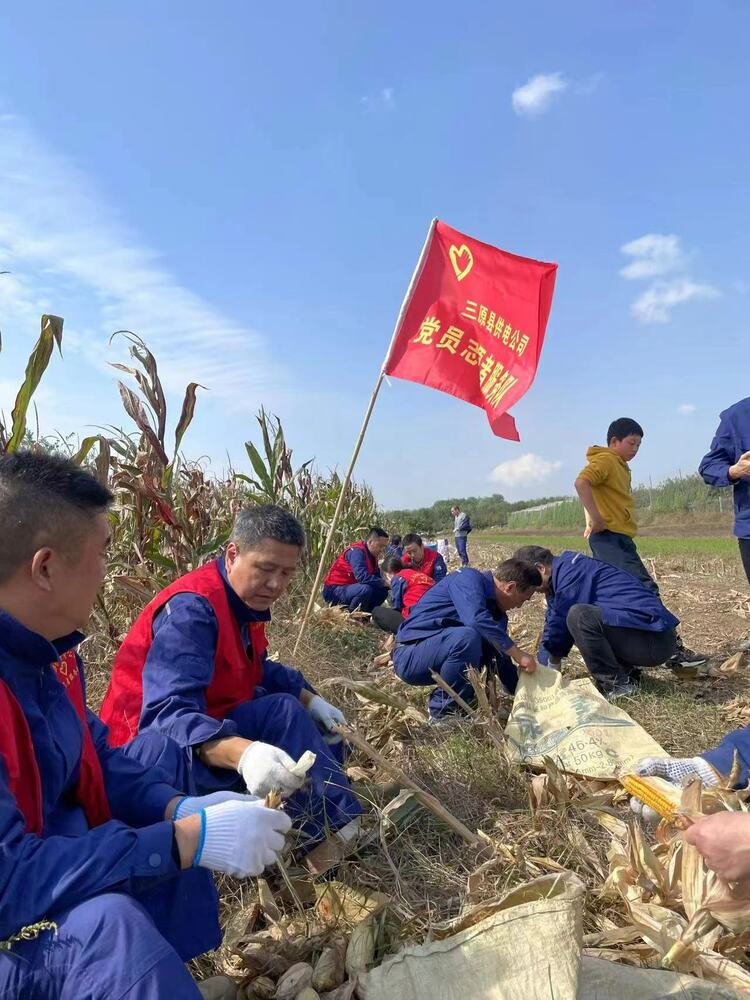 電力“引擎”賦能鄉村振興加速度——國網咸陽供電公司服務鄉村振興側記_fororder_志願隊電力