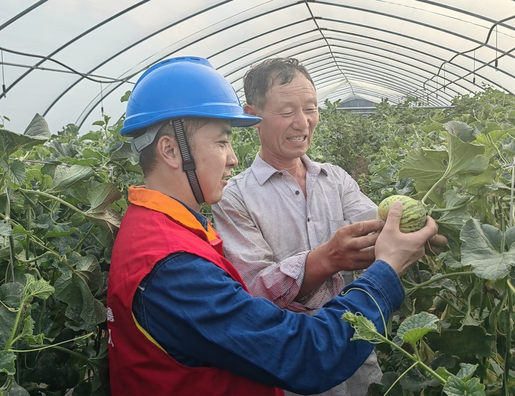 國網咸陽供電公司：“張思德黨員服務隊”真情服務促瓜農增收_fororder_國網咸陽供電公司旬邑公司張思德黨員服務隊隊員在田間走訪