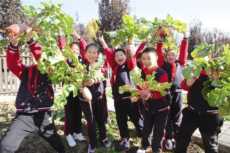 持續打造優質均衡教育新高地——西安市碑林教育交出亮眼“新答卷”