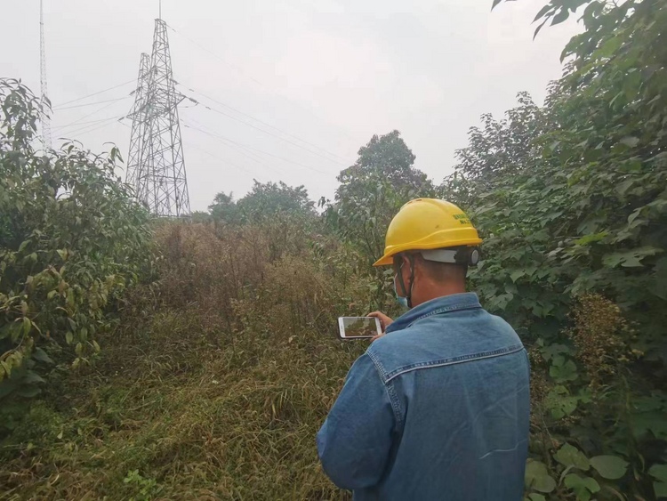 國網西鹹新區供電公司組織幹部員工多形式收聽收看黨的二十大開幕盛況_fororder_圖片1